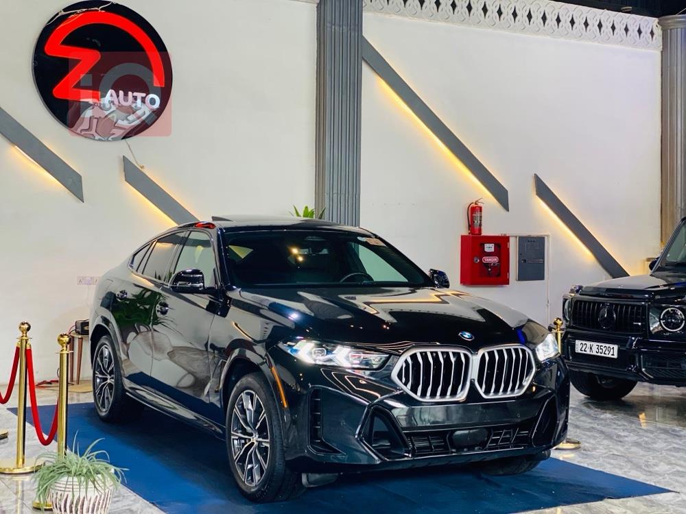 BMW X6